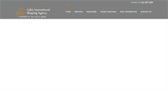 Desktop Screenshot of celtic-international.com